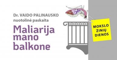 2021-02-18_paskaita_Maliarija mano balkone_galutinis-bfe3add2c4b73b38d2ccc79632fd8ae4.jpg